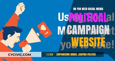 Social Media and Political Campaigns: Website Strategies