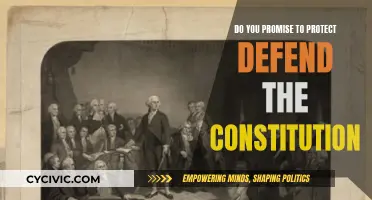 The Constitution: Our Promise to Protect and Defend
