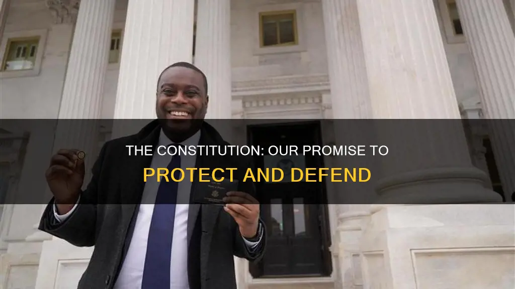 do you promise to protect defend the constitution