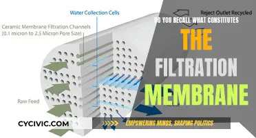 What Are Filtration Membranes Made Of?