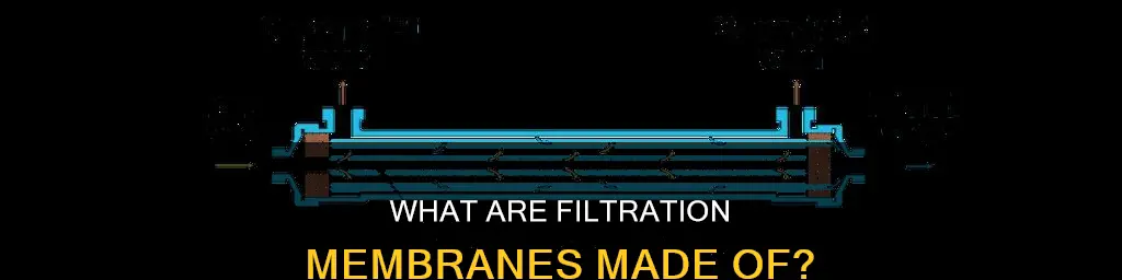 do you recall what constitutes the filtration membrane