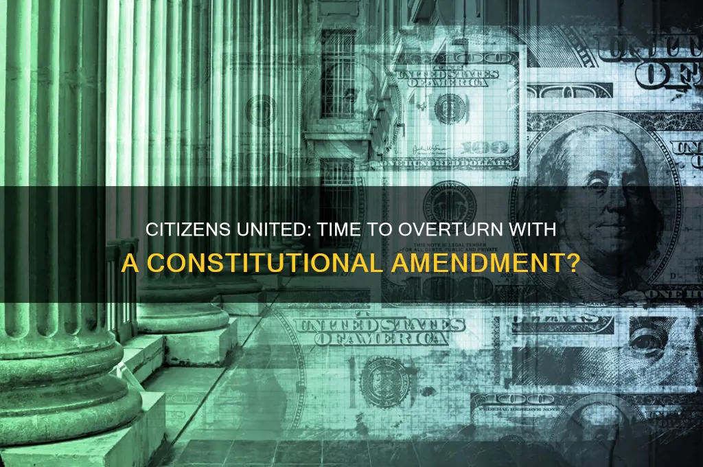 do you support a constitutional amendment to overturn citizens united