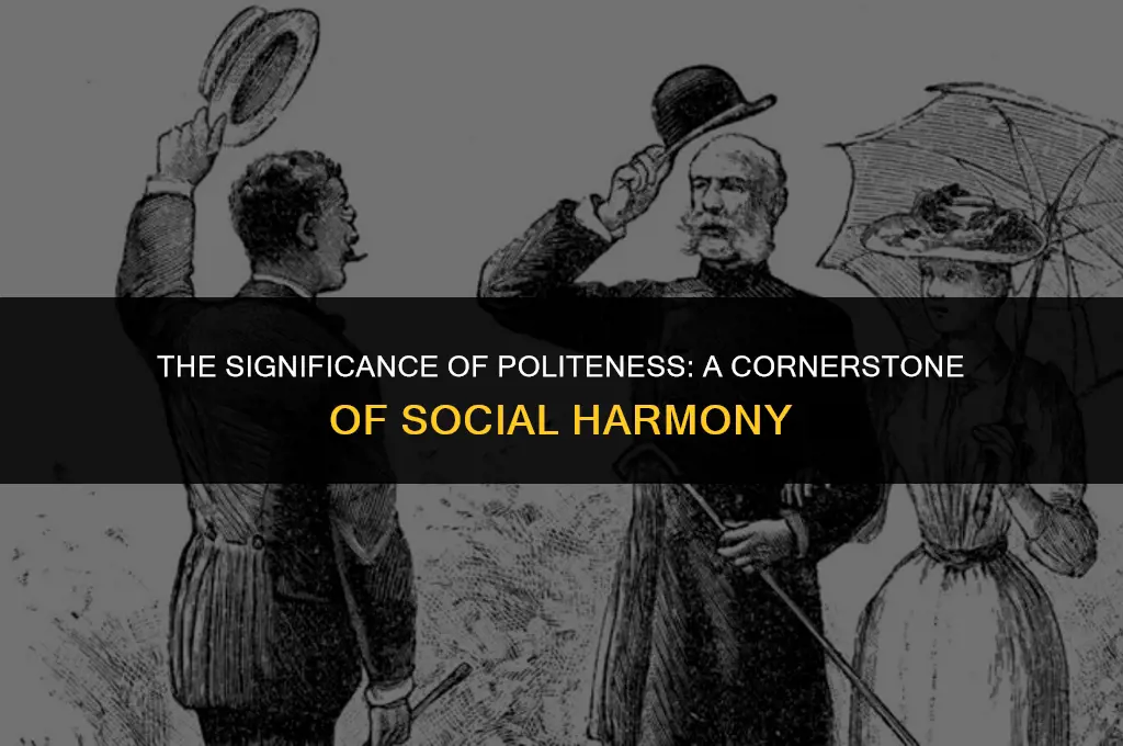 do you think politeness is important