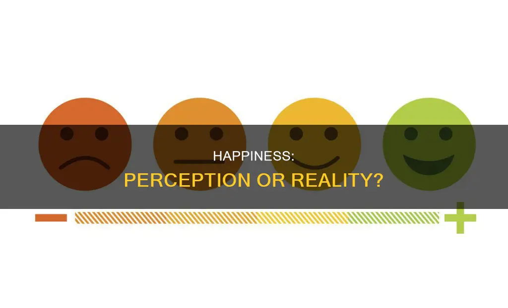 do you think that feeling happy constitutes a perception