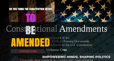 Amending the Constitution: Necessary or Not?
