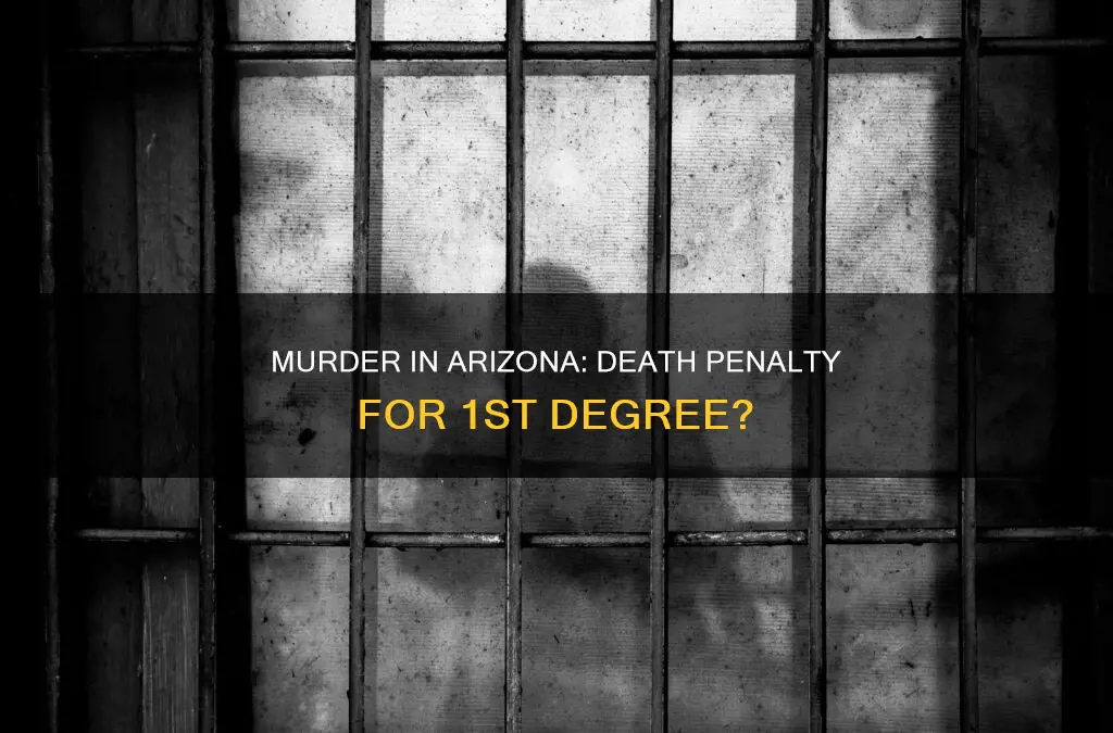 does 1st degree murder constitute death penalty in arizona