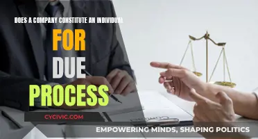 The Corporate Veil: Due Process for Companies and Individuals
