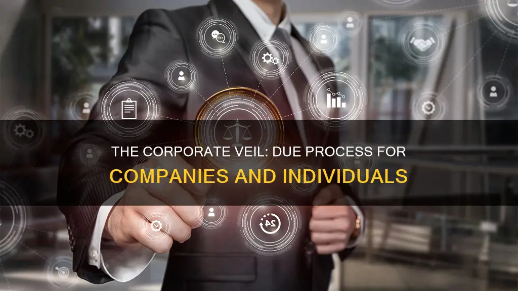 does a company constitute an individual for due process