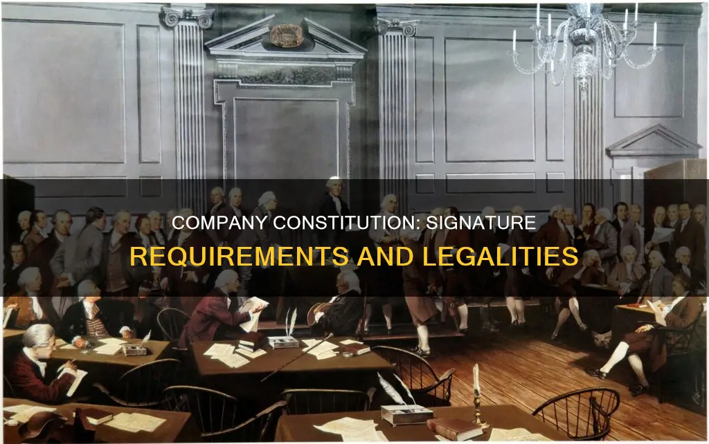 does a company constitution need to be signed