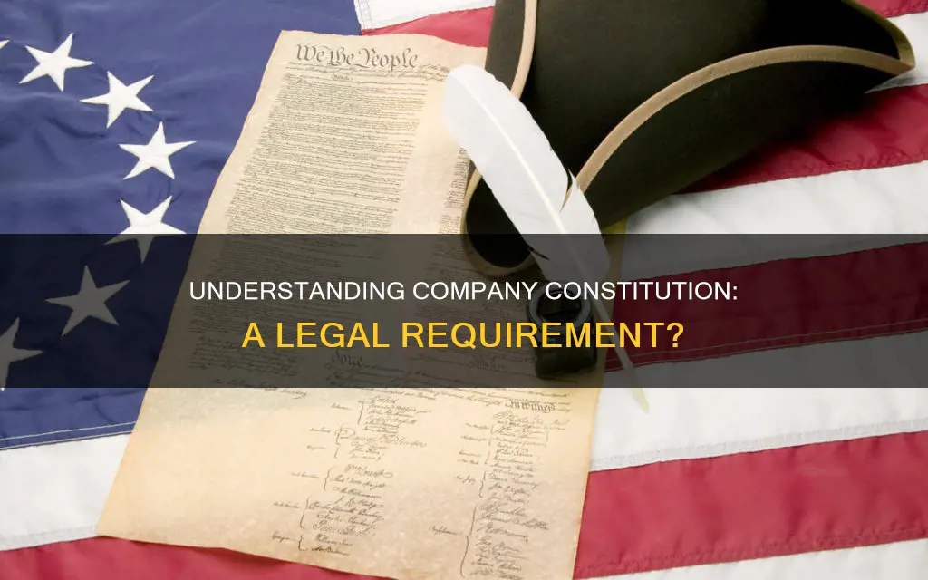 does a company have to have a constitution