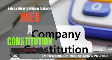 Company Structure: Limited by Guarantee, Need a Constitution?
