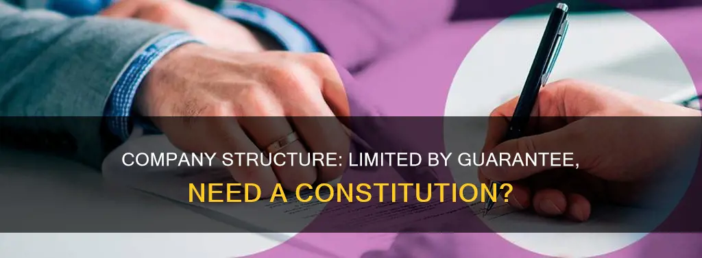 does a company limited by guarantee need a constitution