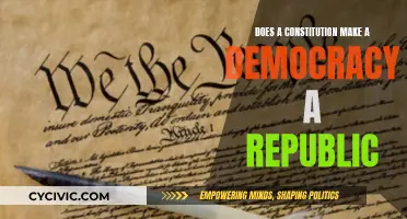 The Constitution's Role: Democracy and Republics