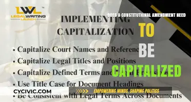 Understanding Capitalization Rules for Constitutional Amendments