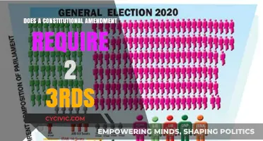 Understanding the Requirement for Constitutional Amendments