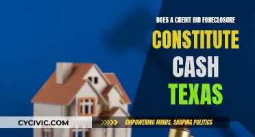 Credit Bid Foreclosure: Cash or Credit in Texas?