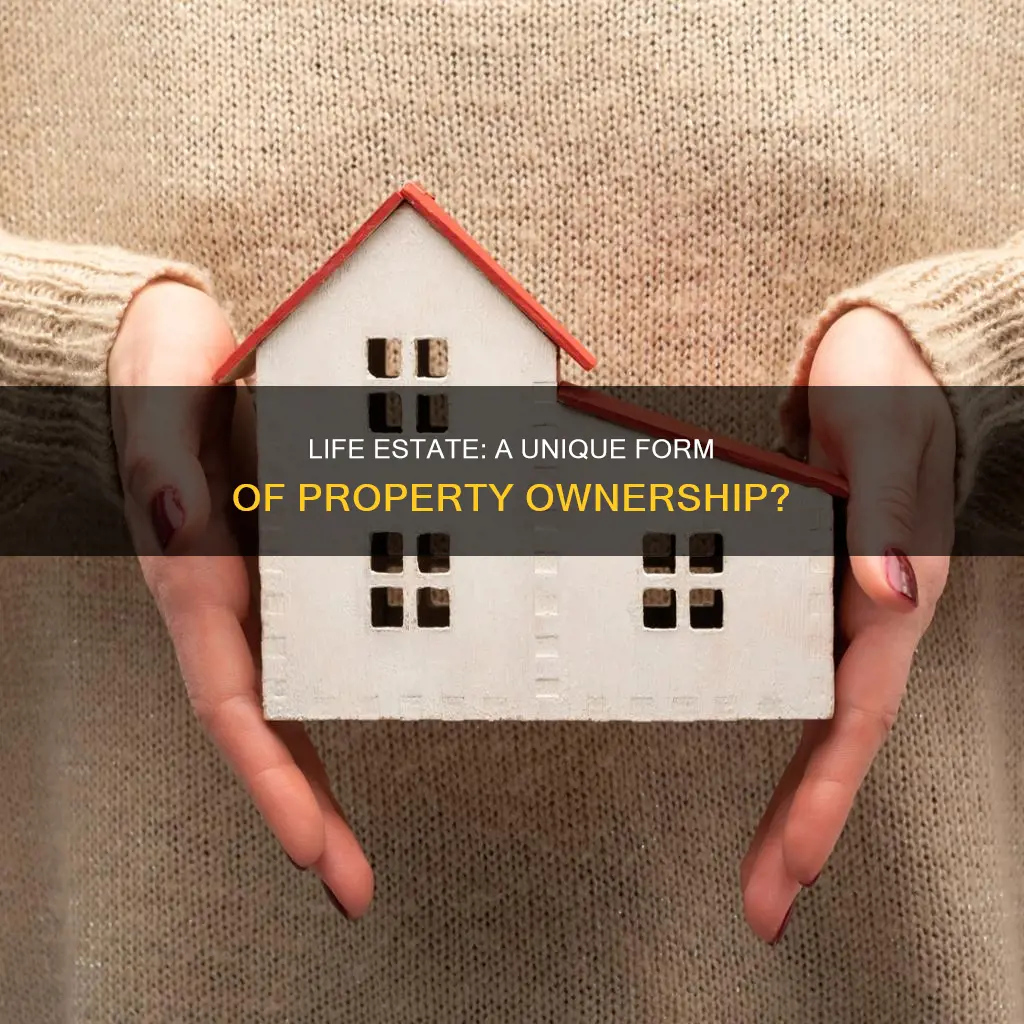 does a life estate constitute a form of ownership