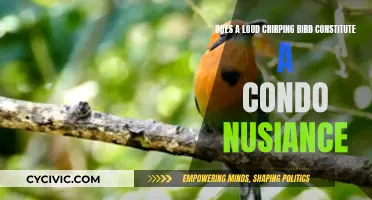 Chirping Birds: Condo Nuisance or Natural Noise?