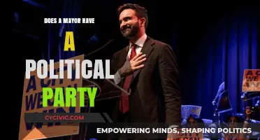 Do Mayors Belong to Political Parties? Exploring Their Affiliations