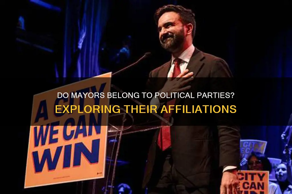 does a mayor have a political party