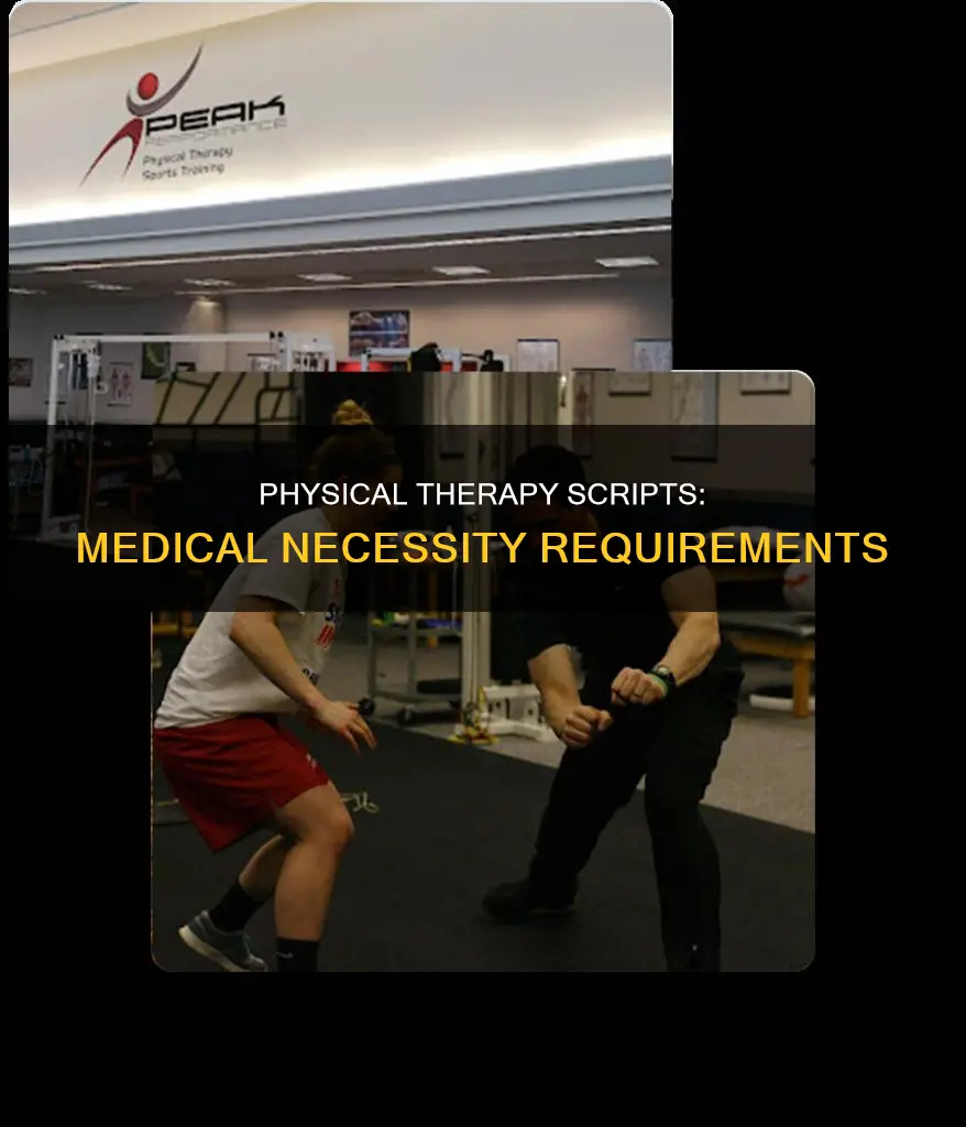 does a physical therapy script constitute medical necessity