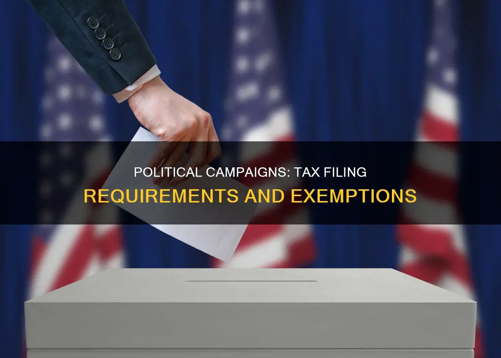 does a political campaign need to file taxes