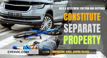 Pain and Suffering Settlements: Separate Property?