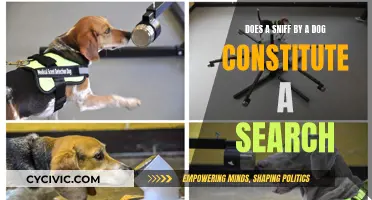 How Sniffing Dogs Affect Your Privacy Rights