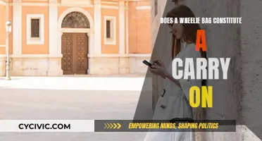 Can You Bring a Wheelie Bag as Carry-On?