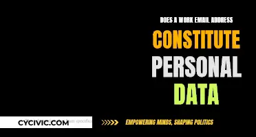 Work Email: Personal Data or Not?