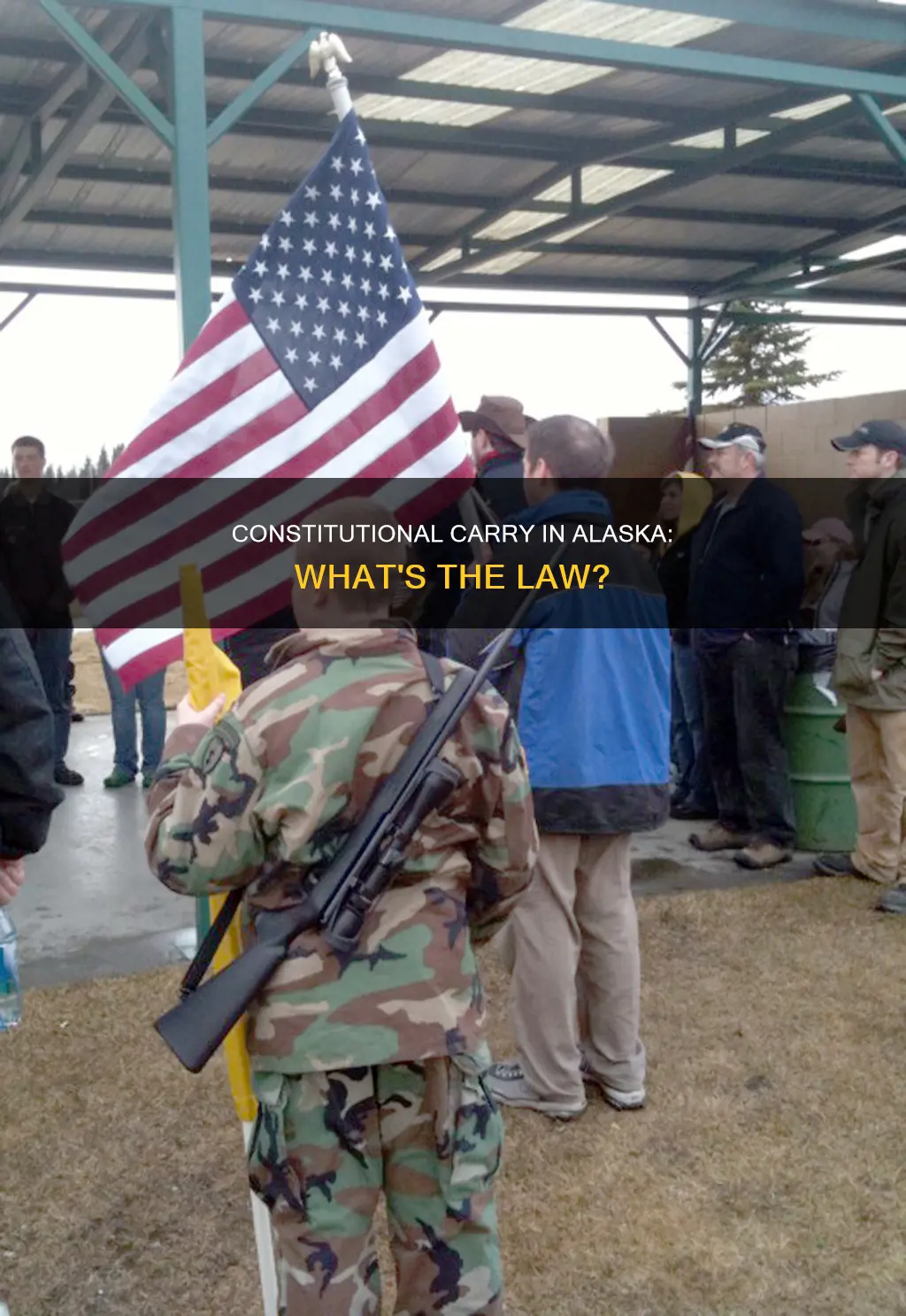 does alaska have constitutional carry