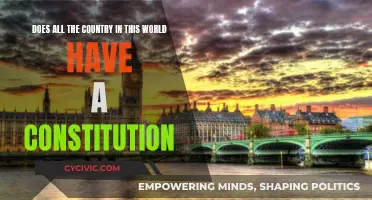 The World's Constitutions: A Universal Feature?