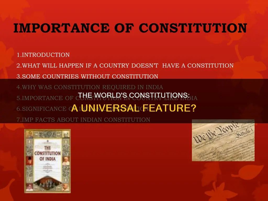 does all the country in this world have a constitution