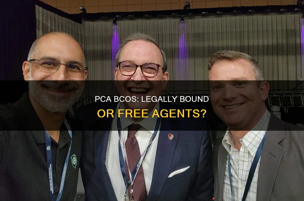does all the pca bco have constitutional authority