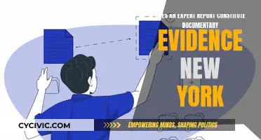 Expert Reports: Are They Evidence in New York?