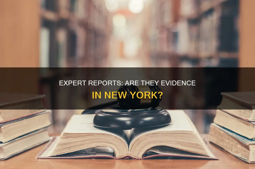 does an expert report constitute documentary evidence new york