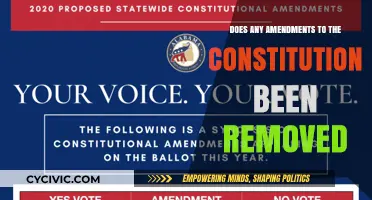 Amendments to the Constitution: Can They Be Removed?