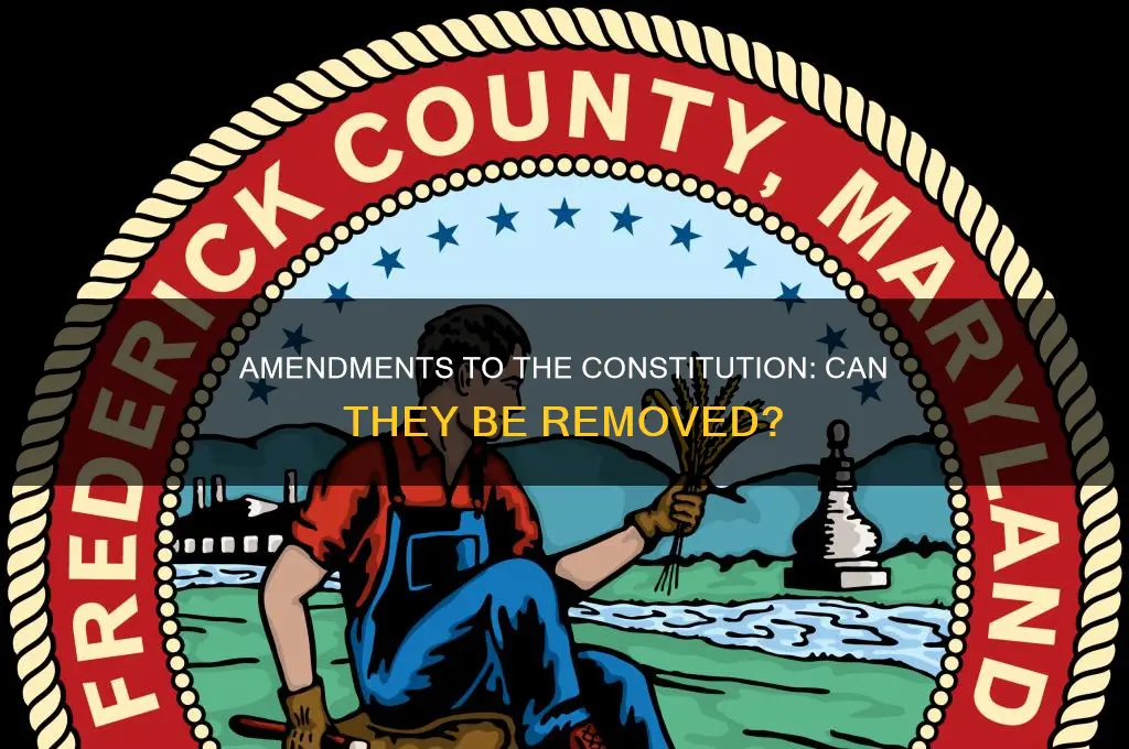 does any amendments to the constitution been removed