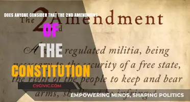 The Second Amendment: A Controversial Right to Bear Arms