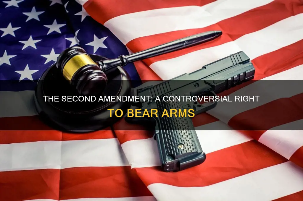 does anyone consider that the 2nd amendment of the constitution