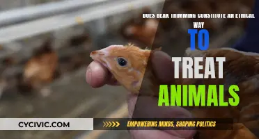 Beak Trimming: Ethical Treatment of Animals?