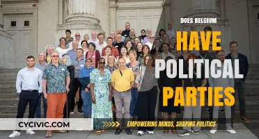 Exploring Belgium's Political Landscape: Do Political Parties Exist There?