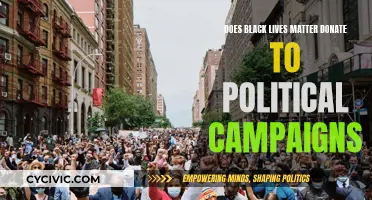 Black Lives Matter: Political Donations and Their Impact