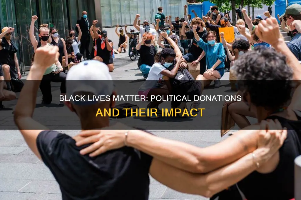 does black lives matter donate to political campaigns