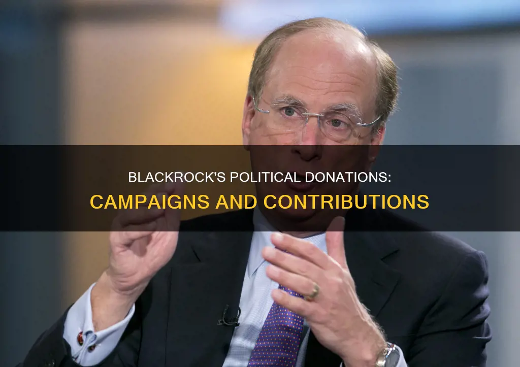 does blackrock donate to political campaigns