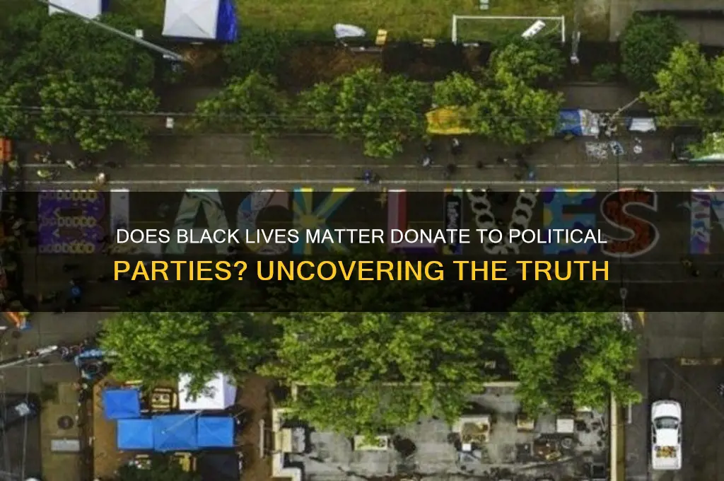does blm donate to political parties