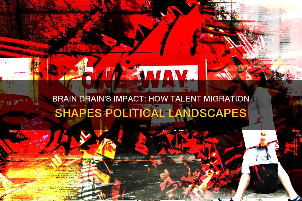 does brain drain effect politics