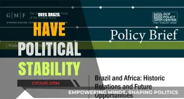 Brazil's Political Stability: Challenges, Progress, and Future Prospects
