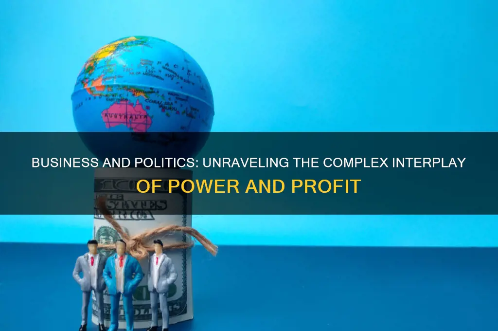 does business involve politics