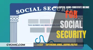 Capital Gains and Social Security: What Constitutes Income?